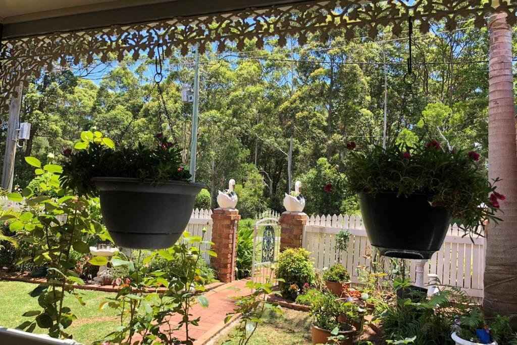 Mountain Living With Ocean Views Mount Tamborine Exterior foto